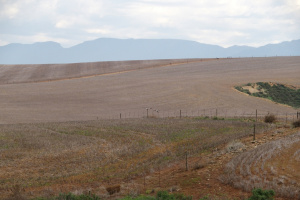 P4300027.JPG