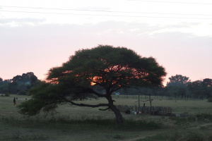 P5250049.JPG